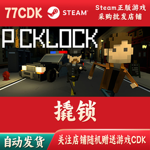 撬锁Steam游戏CDKey批发激活码 PICKLOCK