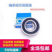 6314 2RS 6315 6317 哈尔滨电机轴承6313 6319N 6316 6318