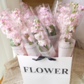 西安花店同城鲜花速递补差价