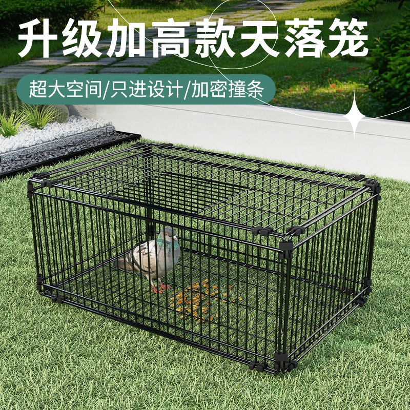 天落笼加密只进不出鸽子笼撞门笼活络门自动回收鸽子室外鸡笼