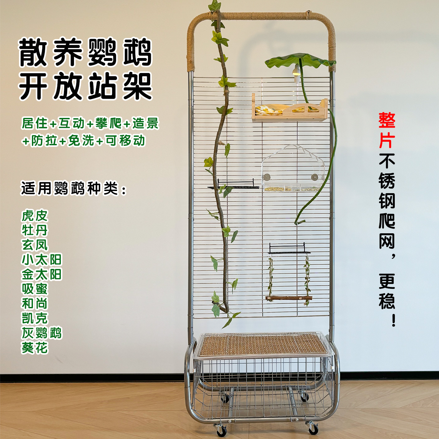加粗不锈钢开放式鹦鹉站架大型架
