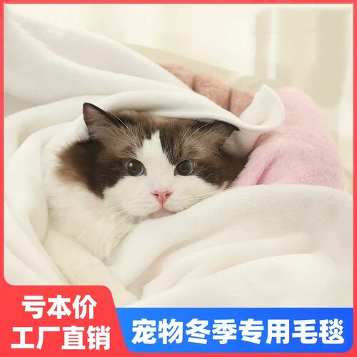宠物毛毯猫咪专用毯子狗狗被子地垫冬季保暖睡觉垫珊瑚绒猫咪毯子