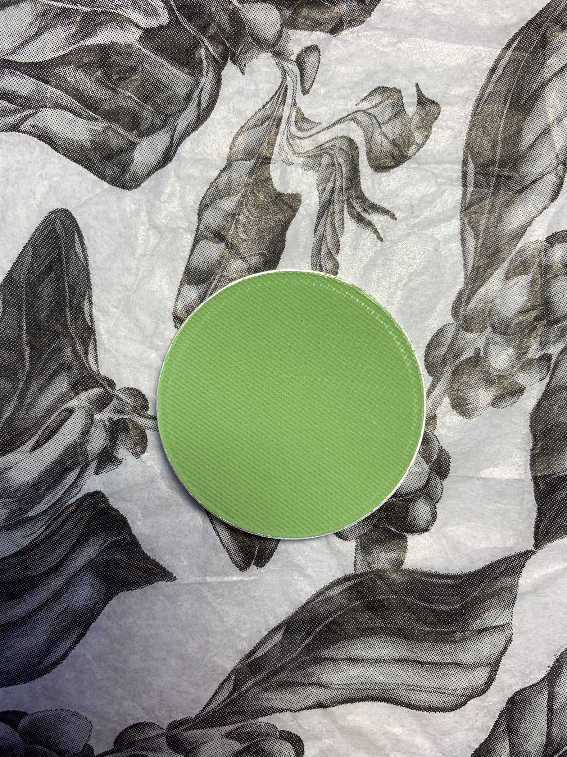 KRYOLAN德国面具眼影替换装 2.5g浅草绿哑光实物拍单色