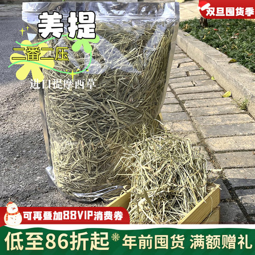进口美提二番提摩西龙猫兔子磨牙