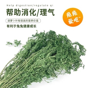 现货烘干胡萝卜缨兔粮幼兔饲料干草料兔子食用草龙猫牧草叶子干叶