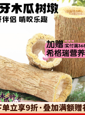 耐啃木瓜树枝龙猫兔子磨牙棍磨牙棒木瓜墩木瓜树茎木瓜丝话梅香