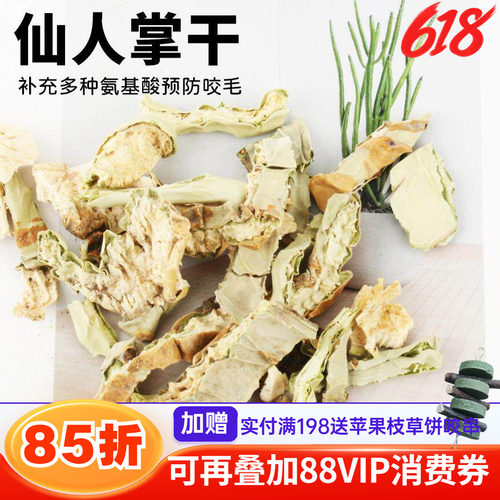 龙猫仙人掌干补充多种氨基^微量元素酸辅助治疗咬毛恢复毛发健康