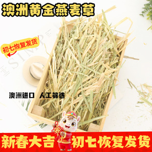 澳洲进口精选手挑黄金燕麦草兔子豚鼠龙猫磨牙高纤维草段^200g
