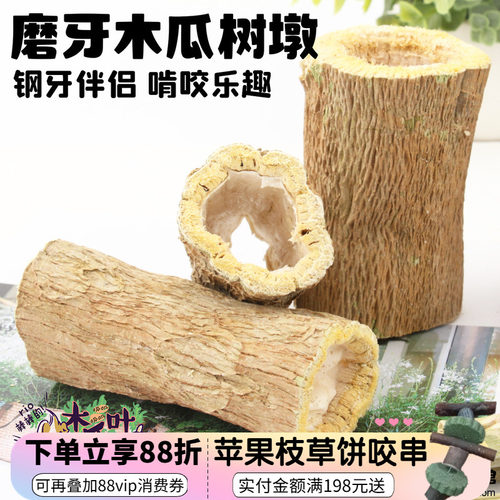 钢牙伴侣龙猫兔子耐啃木瓜树墩