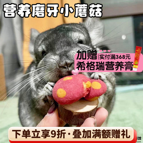 赫尔达苹果木小蘑菇造型磨牙零食 龙猫兔子仓鼠*独立包装1个