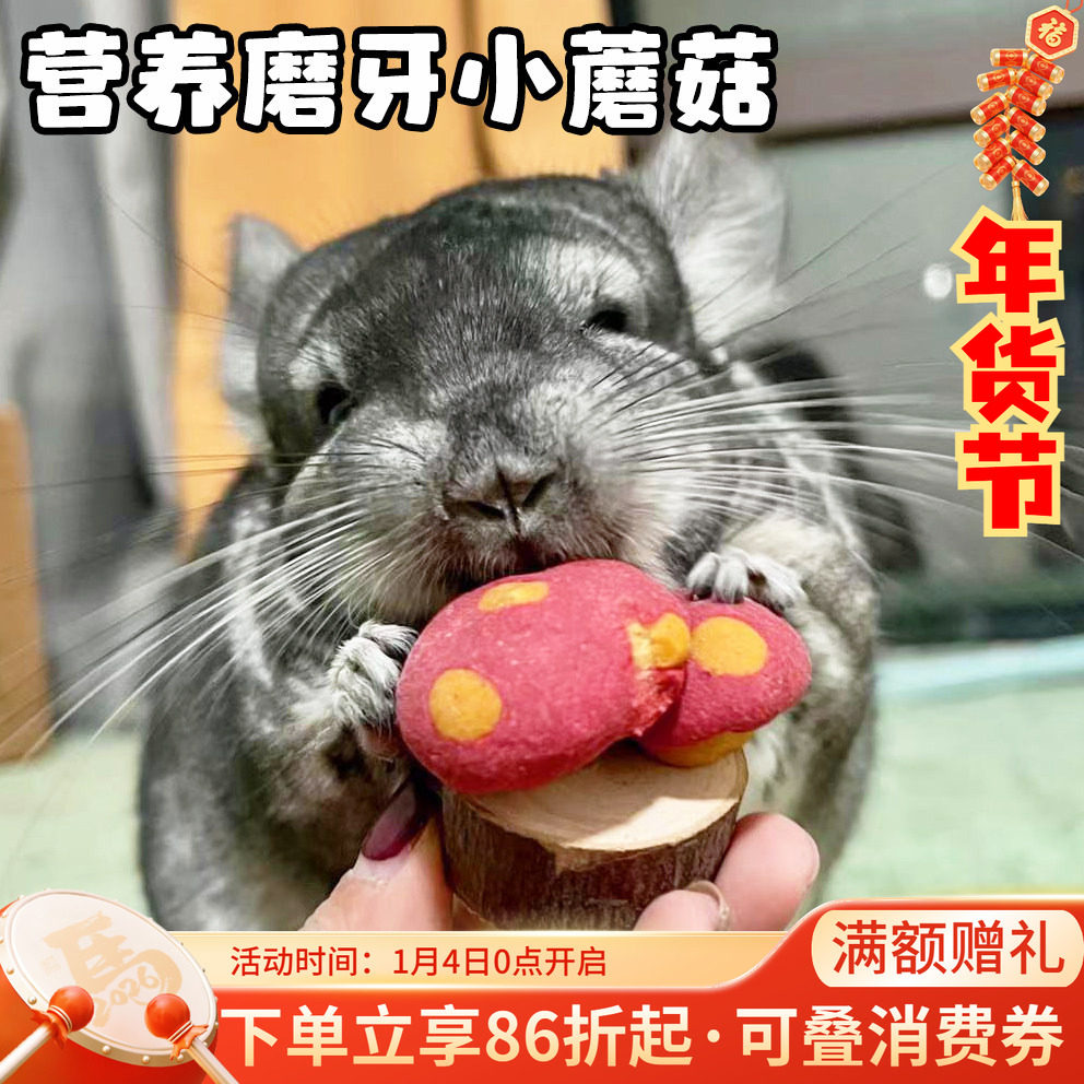 赫尔达苹果木小蘑菇造型磨牙零食 龙猫兔子仓鼠*独立包装1个,宠物/宠物食品及用品,鼠类零食,淘宝优惠券,粉丝福利购,淘宝优惠卷