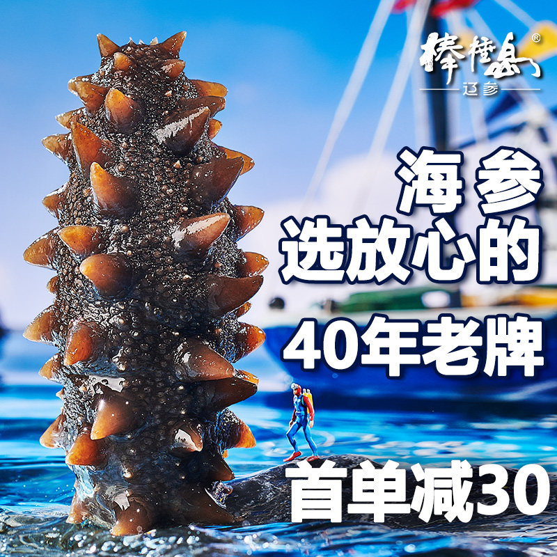棒棰岛大连海参500g单支非即食海参海叁干货原产地冷冻辽参旗舰店属于什么档次？
