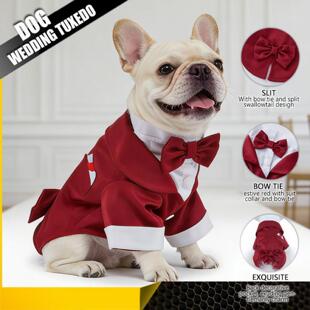 狗狗婚庆礼服夏季西装连衣防掉毛宠物结婚典礼狗狗新郎新娘盛装