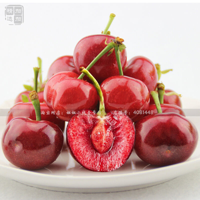 【山东大樱桃 妞妞小栈】美早樱桃 无酸口感