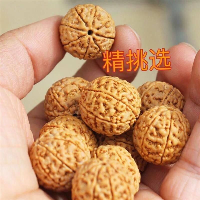 励纯天然金刚菩提手串原籽大金刚7七8八9瓣金刚菩提佛珠念珠手串
