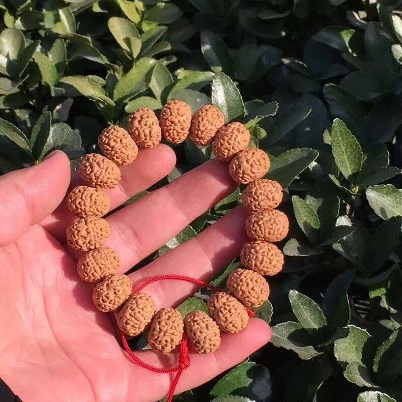 纯天然飞碟金刚菩提手串男士7瓣8瓣9瓣矮桩爆肉盘龙纹原籽牛津红