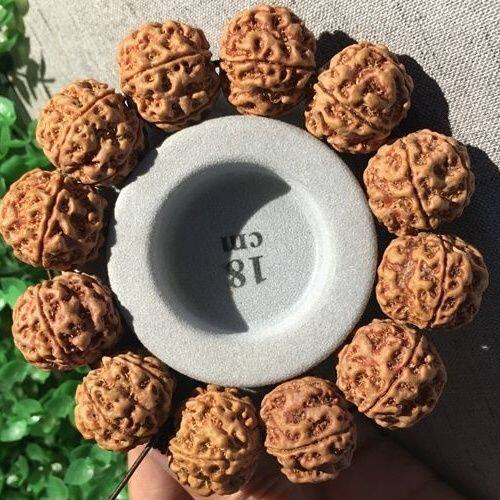 正宗尼泊尔大金刚菩提子手串男5瓣红黄皮梅花爆肉蜂窝双龙纹原籽