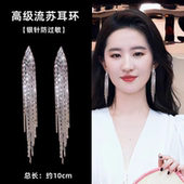 高级感流苏耳环女气质耳坠长款 圆脸显瘦轻奢银针耳饰2025年新款 潮