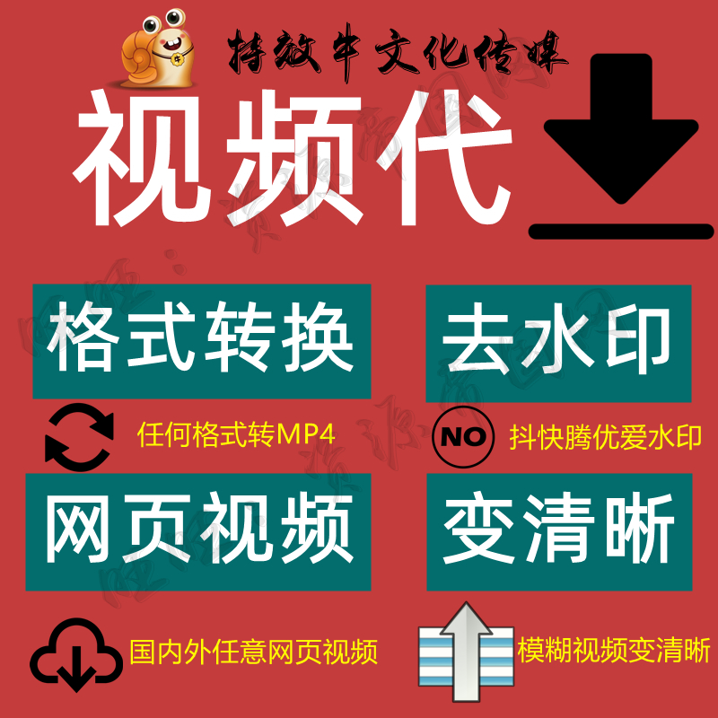 终生免费去水印服务人工短视频无损去logo网页视频代下载格式转换