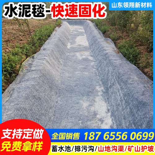 鱼塘护坡新型水泥毯水沟渠河道人工湖水渠路面浇水固化速干混凝土