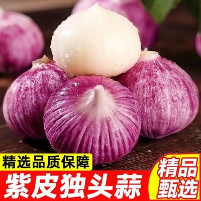 云南独头大蒜食用农家