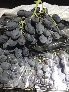 新鲜水果秘鲁玫瑰香葡萄黑提子无籽特别甜脆2斤3斤多地顺丰包邮