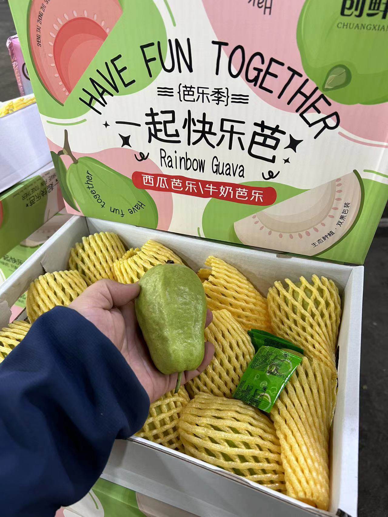 新鲜水果广西牛奶芭乐红心芭乐番石榴4斤礼盒装多地顺丰包邮,水产肉类/新鲜蔬果/熟食,番石榴/芭乐,淘宝优惠券,粉丝福利购,淘宝优惠卷