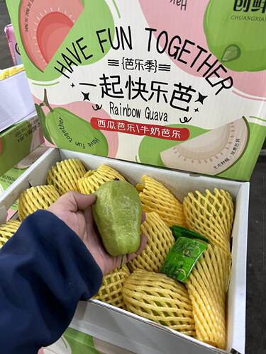 广西西瓜芭乐红肉潘石榴4斤礼盒