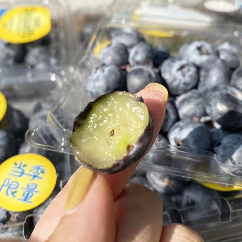 新鲜水果怡颗莓蓝莓蓝梅超大