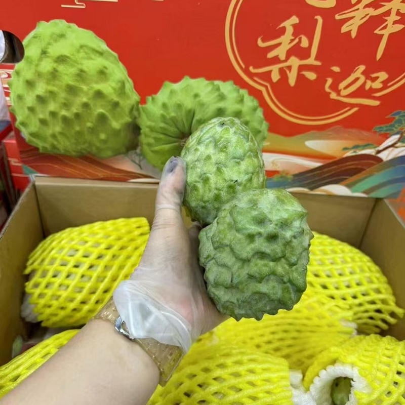 新鲜水果国产释迦5斤礼盒装