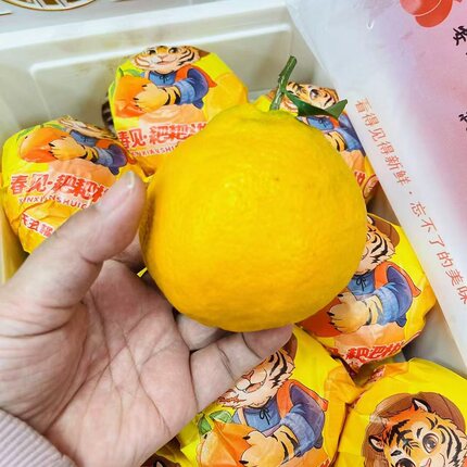 新鲜水果安氏柑媛虎头丑橘粑粑柑橘子甜桔子7斤小框多地顺丰包邮