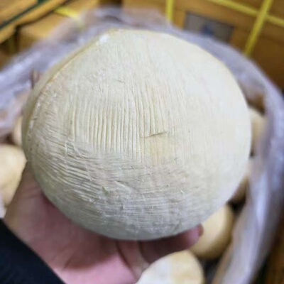 泰国椰皇5个多地顺丰包邮