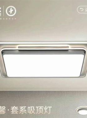 雷士照明实体店同款环馨WCX12291吸顶灯简约现代客厅卧室吸顶灯