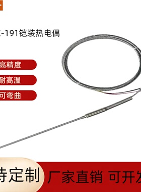 K型铠装热电偶WRNK-191电热偶针可弯曲Pt100/E/J/T温度传感器探头