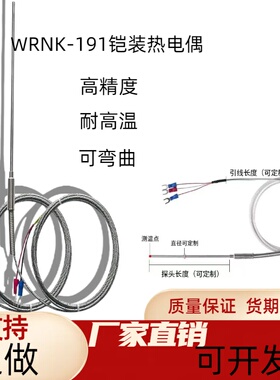 K型铠装热电偶WRNK-191探针温度传感器PT100/E/J热电阻探头高精度
