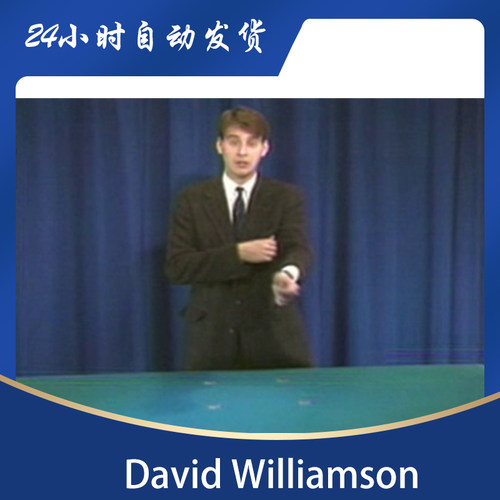 David Williamson - Dave 2