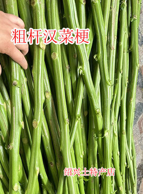 粗汉菜梗自种新鲜汉菜梗绍兴特产 霉苋菜梗 汗菜管  臭豆腐卤原料