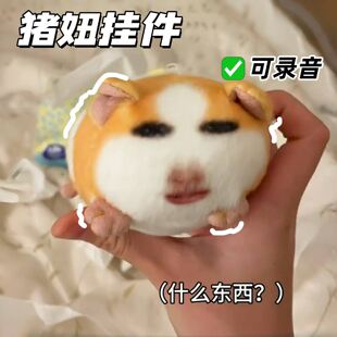 猪妞挂件搞笑抽象仙女下凡毛绒玩具荷兰猪玩偶可录音表情包钥匙扣