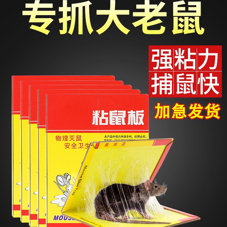 超强力粘鼠板捉粘大老鼠贴沾胶家用室内扑抓逮老鼠粘灭鼠捕鼠神器