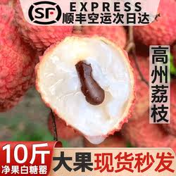 广东高州白糖罂荔枝礼盒装新鲜现货现发应季老树大果顺丰空运包邮