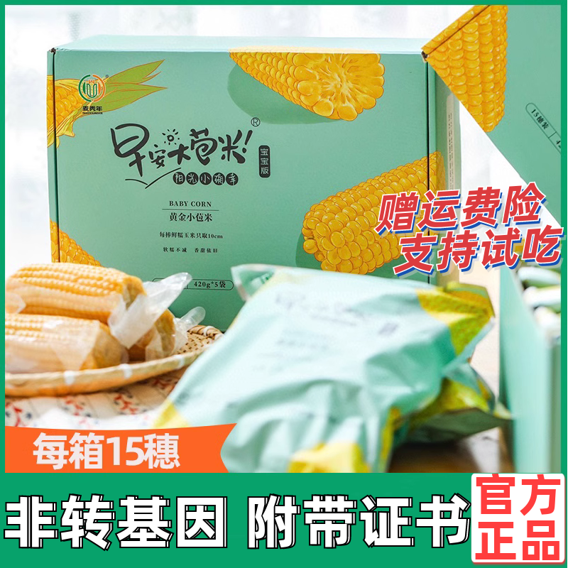 麦秀年早安大苞米旗舰店15支宝宝版非转基因0添加带证书黄糯玉米