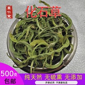 大叶化石草 干净无杂质云南正品 云南野生中药材化石草500g克 包邮
