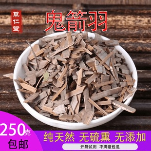 野生中药材鬼箭羽 鬼见羽 卫矛 六月凌