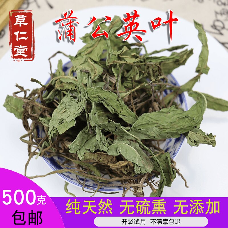 蒲公英云南整颗婆婆丁新鲜中药材