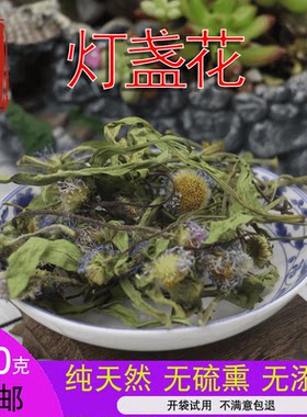 2026年新货云南野生中药材灯盏花灯盏细辛500g包邮纯天然灯盏花茶
