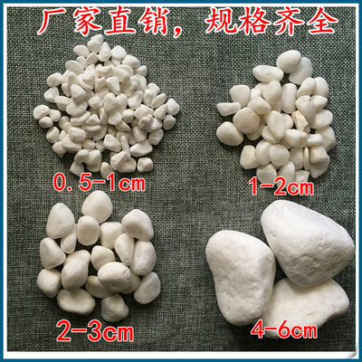 天然白石白色鹅卵石厂家直销