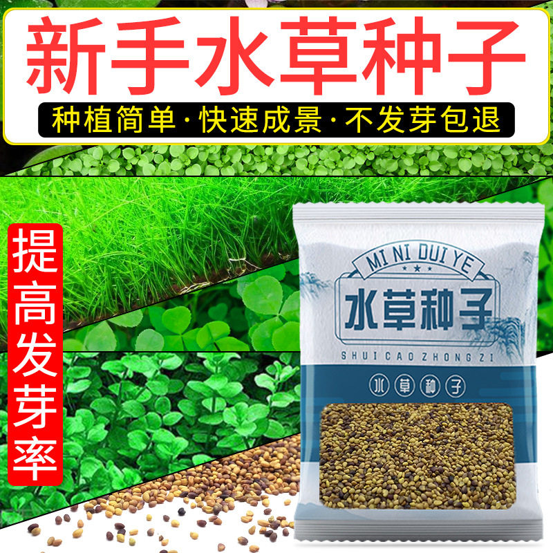 水草种籽碗莲种子水草泥微景观鱼肥料