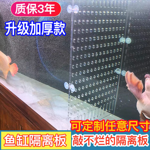 亚克力透明鱼缸隔离板分隔板断割垫挡板龟缸水族箱鱼苗隔断网盖板