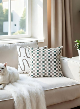 默色空间棋盘格双面图案精织抱枕高级感棉麻腰枕超细旦羽丝沙发枕