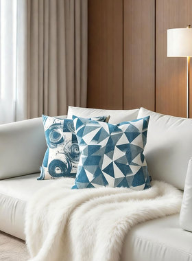 默色空间新品孔雀绿雪尼尔双面抱枕几何图案样板房沙发靠垫套揽枕